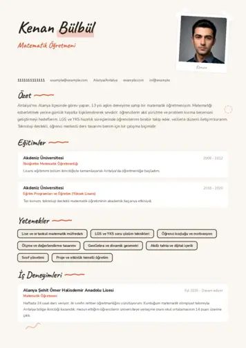  cv indir